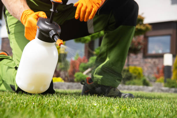 Trusted Woodstock, IL Pest Control Experts