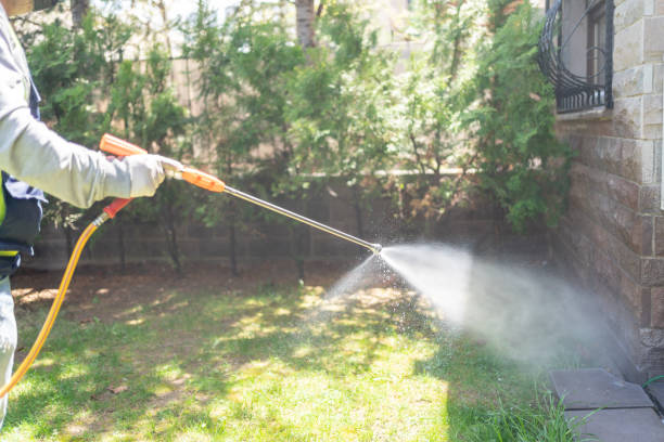 Best Commercial Pest Control Services  in Woodstock, IL